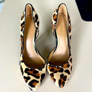 BCBG leopard 3.5 inch heels